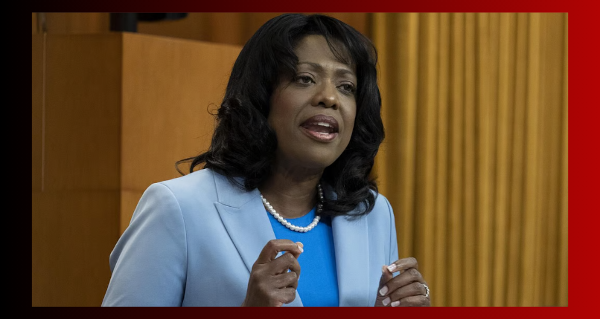 Article | Conservative MP warns against mandatory digital ID for Canadians by Western Standard News Services